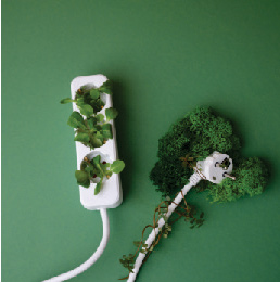 sustainability