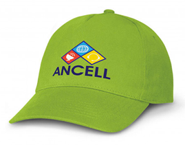 DIGITAL TRANSFERS
