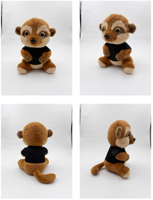BP-Meerkat