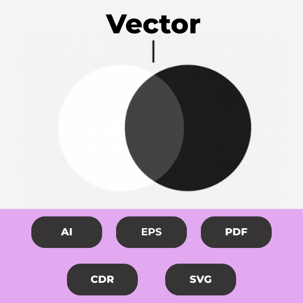 Vector